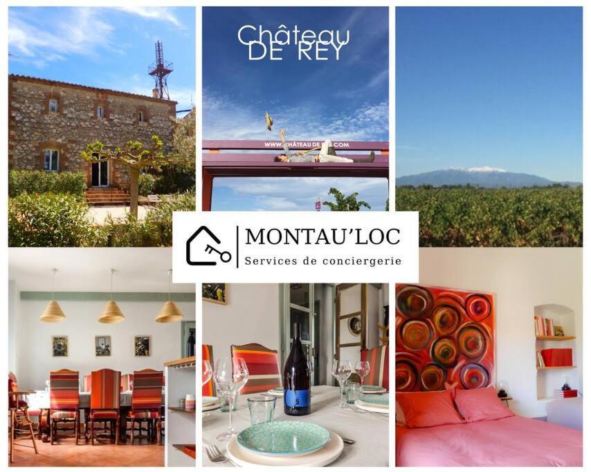 La Maison Des Vendangeurs Canet-en-Roussillon Εξωτερικό φωτογραφία