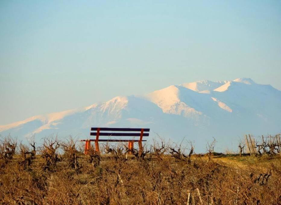 La Maison Des Vendangeurs Canet-en-Roussillon Εξωτερικό φωτογραφία