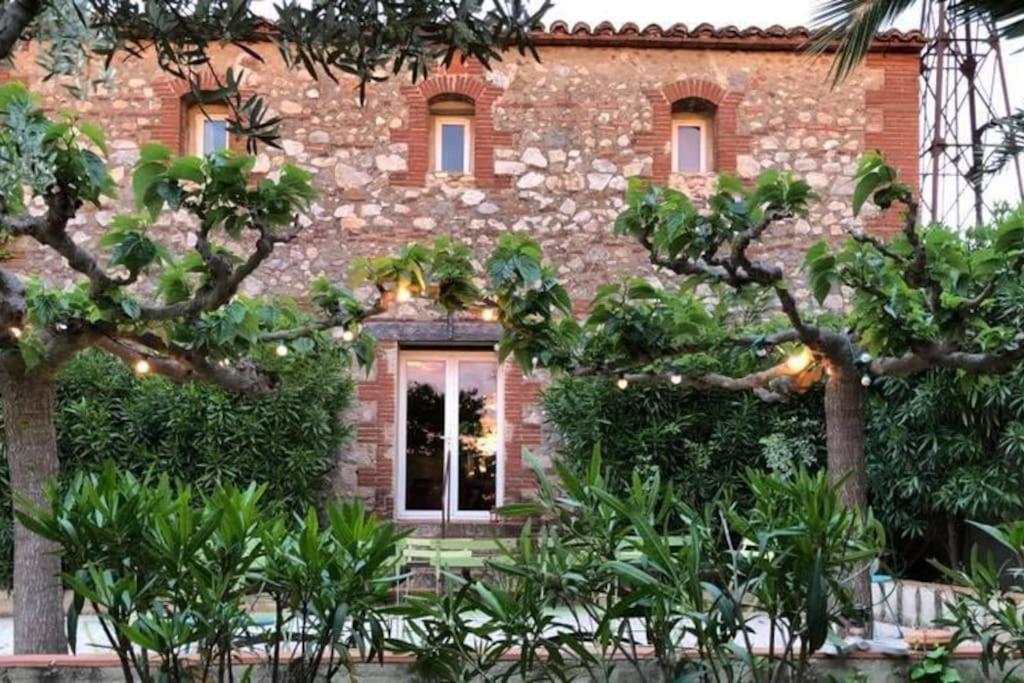 La Maison Des Vendangeurs Canet-en-Roussillon Εξωτερικό φωτογραφία